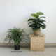 Nordic style bird of paradise interior decoration simulation plant