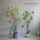 High-end simulated green plant old pile lily bamboo bonsai tree