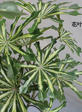 高端仿真绿植物盆景木薯叶假树