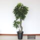 High-end money tree living room floor-standing bonsai plastic flower