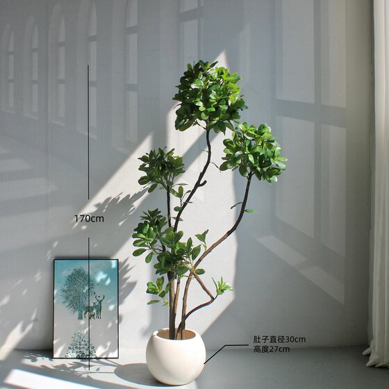 Simulated Pittosporum bonsai indoor living room decoration