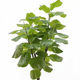 High-end Nordic style floor-standing floral tea room simulation plants