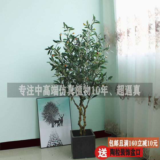 High-end Nordic style olive tree store living room floor