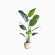 High-end simulation traveler banana bird of paradise classic design
