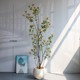 Bizarre simulated green plant island spring flowers