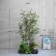 High-end simulated green plant landscaping with Zen-like golden thread and purple bamboo