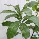 Simulated plant Bex large high-end light luxury living room
