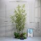 High-end simulated green plant landscaping with Zen-like golden thread and purple bamboo