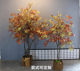 Japanese style simulated green plant large maple tree floor decoration
