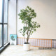 Simulated green plant Mazui wood hanging clock floor decorative tree