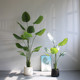 Simulated plant green apple Nordic style floor decoration
