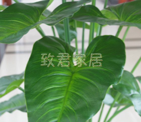 Environmentally friendly living room office hotel simulation plant