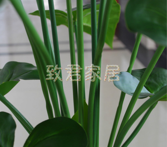 Environmentally friendly living room office hotel simulation plant