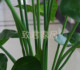 Environmentally friendly living room office hotel simulation plant