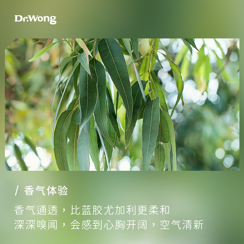 Dr.Wong澳洲尤加利单方精油保卫呼吸香气爽利天然植物精油香薰 - 图0