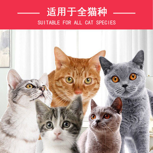 依比莎猫粮10kg海洋鱼味20斤幼猫成猫老年猫通用型猫咪主粮全阶段 - 图1