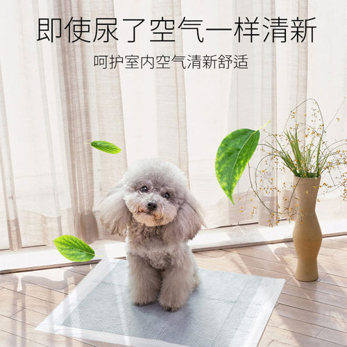 碳分子狗狗尿垫含碳除臭加厚尿片猫咪尿布泰迪尿不湿垫宠物日用品 - 图2