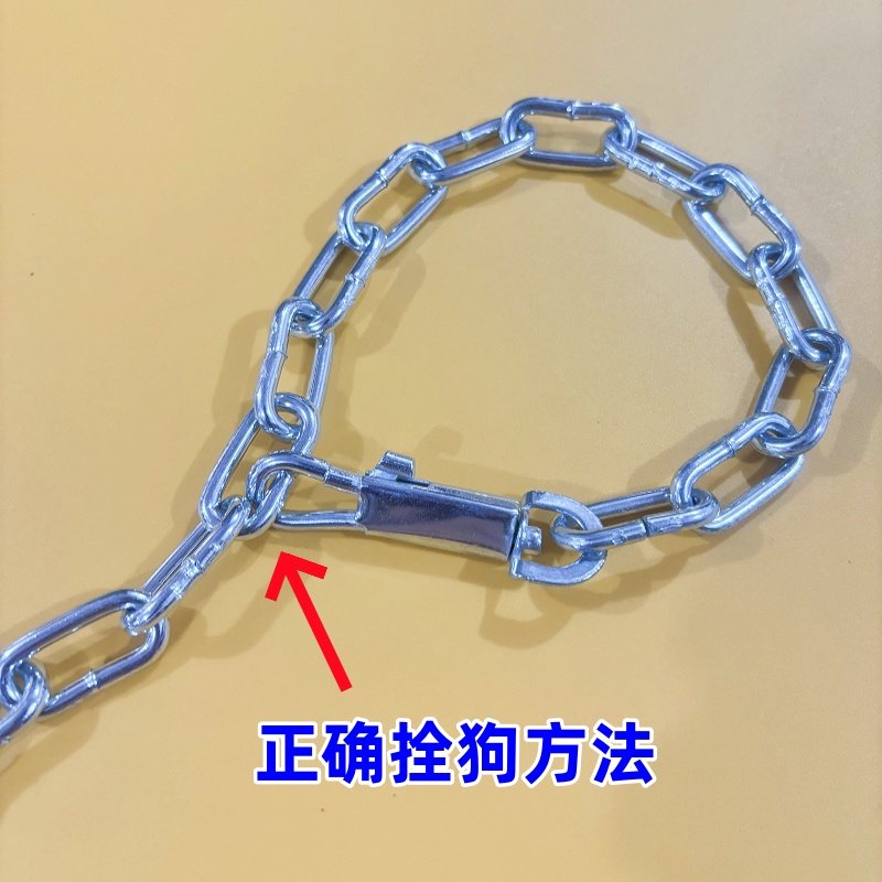 防咬狗链子小型犬中型犬大型犬狗狗项圈栓狗铁链牵引绳脖套遛狗绳 - 图2
