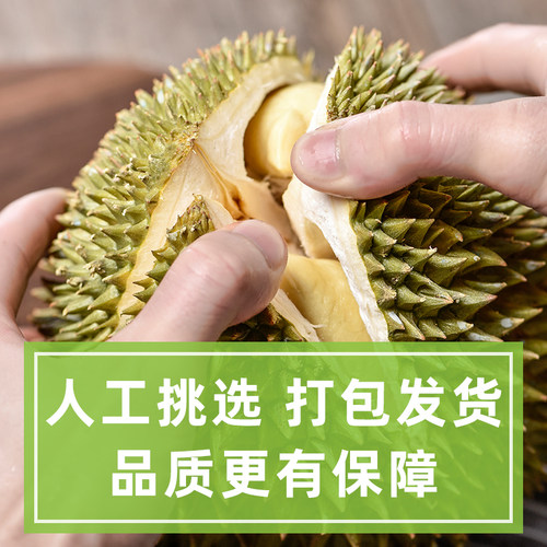 泰国新鲜冷冻金枕头榴莲肉冰冻2斤树熟1KG果肉进口速冻榴莲泥商用 - 图1