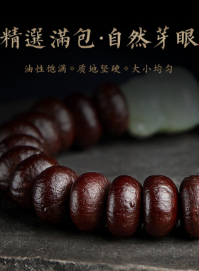 貔貅紫金钵盂菩提手链手持念珠冷门文玩手串高密高油满包藏式佛珠