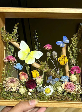 双面玻璃蝴蝶标本微景观科普儿童昆虫摆件干花植物相框个性礼物
