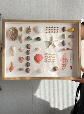贝壳标本标本立体相框天然海螺装裱展示摆台咖啡厅挂墙装饰画