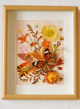 DIY压花蝴蝶标本森系咖啡店小众装饰画艺术摆件复古风餐厅壁画