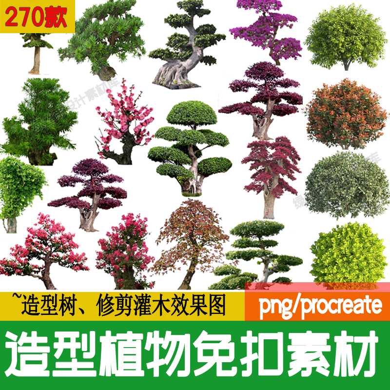 PS景观造型植物灌木球造型树迎客罗汉松桩景效果图png棒棒糖素材 - 图2