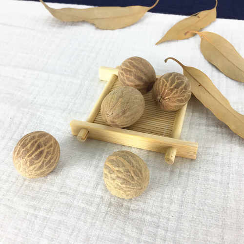 白玉菩提根新款菩提子白果原果直径11-30mm 菩提根大果原料论斤卖 - 图3