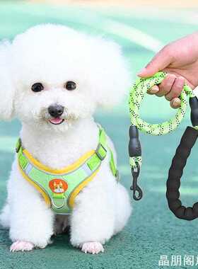 式幼犬小型犬狗狗绳个性遛狗绳