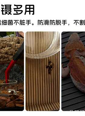 镊子夹子宫蟋蟀夹子蜥新派宠物爬宠爬虫ins宠物镊家用