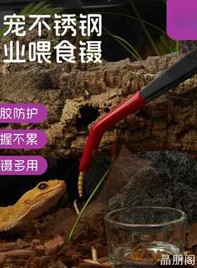 蟀夹子蜥蜴清洁镊子夹子创意喂食夹新派宠物爬宠爬家用收纳