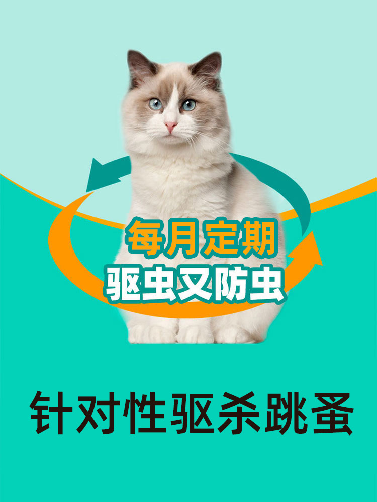 猫咪驱虫药蓝白英短专用体内外一体驱虫宠物猫去跳蚤非泼罗尼滴剂