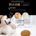 Thức ăn cho chó cưng Teddy Golden Retriever Bear Xiong VIP chó nhỏ chó trưởng thành 40 kg thịt thông chó thức ăn cho chó con phổ quát 20kg - Chó Staples Chó Staples