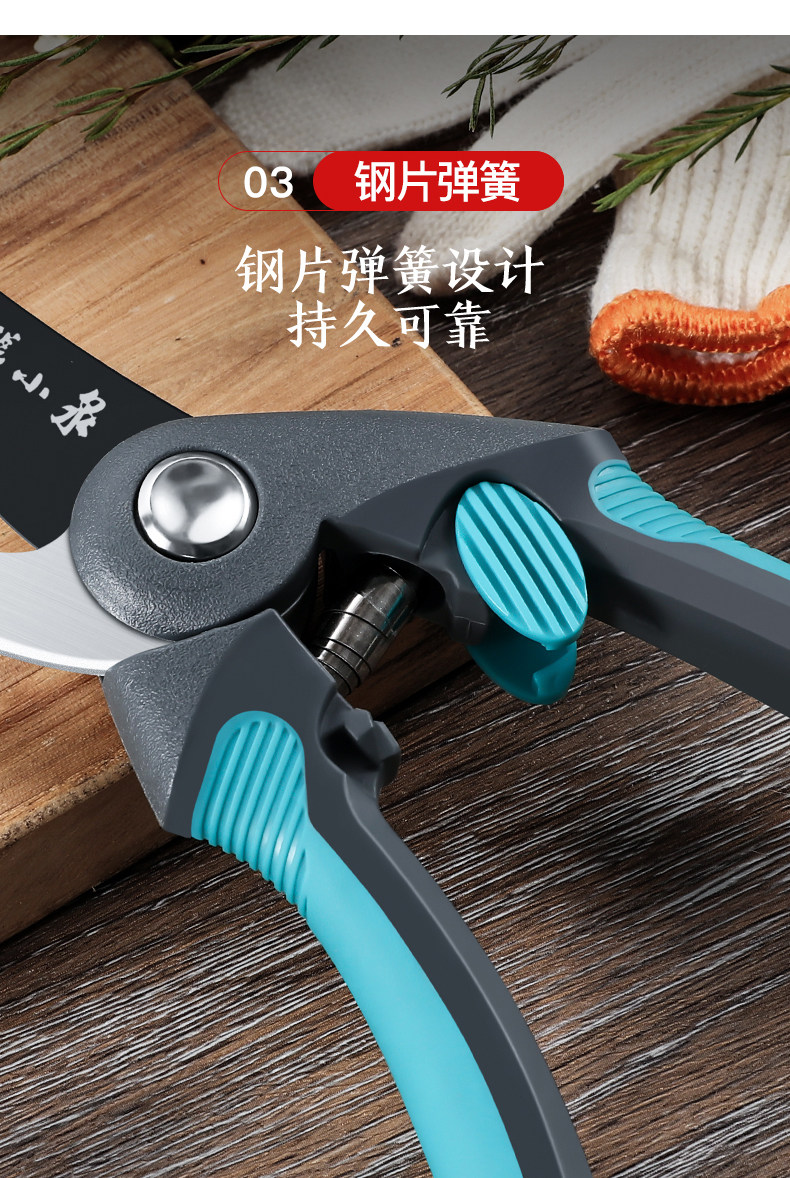 张小泉修枝整枝剪刀果园果树枝粗枝剪子园林园艺花卉剪刀修花正宗,淘宝优惠券,粉丝福利购,淘宝优惠卷