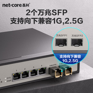 netcore磊科4/8口2.5G交换机2个10G万兆SFP光口支持向下兼容千兆家用安防监控网线分流器即插即用GS6