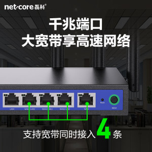 磊科WiFi6企业级路由器千兆5G双频高速无线1800M多WAN口宽带叠加商铺家用穿墙大功率光纤铁壳电信移动联通B18