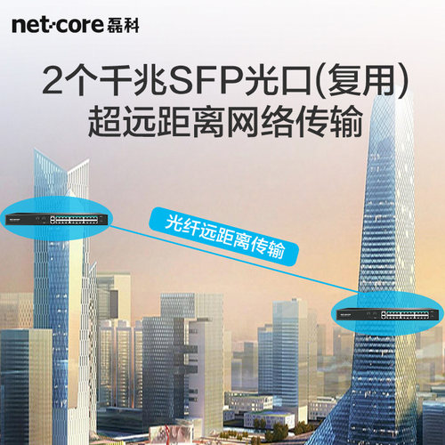 磊科SG28P 24口百兆POE2千兆级联口2千兆监控专用国标48V带2光口网线供电交换分线器支持海康大华TP摄像头 - 图3