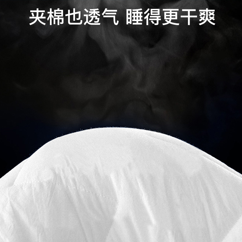 慕思全棉床笠床垫席梦思保护套慕斯床罩宿舍夹棉纯棉床垫套罩新款