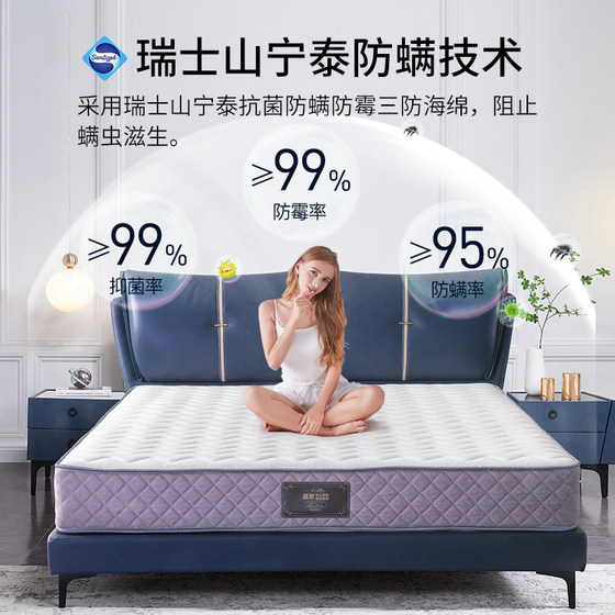 Mousse double-layer anti-mite natural latex mattress