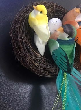 仿真蛤蟆藤编鸟窝鸟巢装饰小鸟蛋麻雀鸽子窝手工道具家居庭院摆件