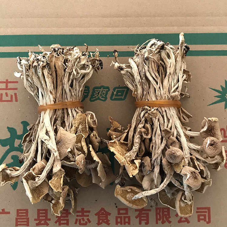 江西广昌茶树菇干货 开伞捆把茶树菇5斤装 长条扎把2023新货 - 图0