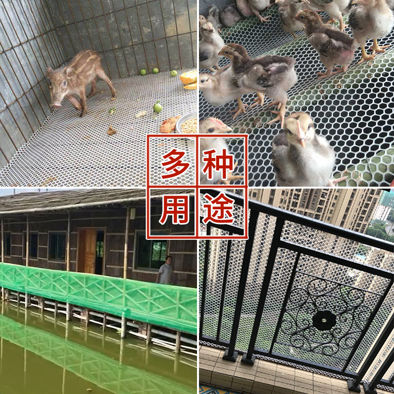 孕育邹鸡用漏粪板鸭鹅用禽用加厚塑料漏粪网养鸡鸭舍地板养殖器械 - 图2