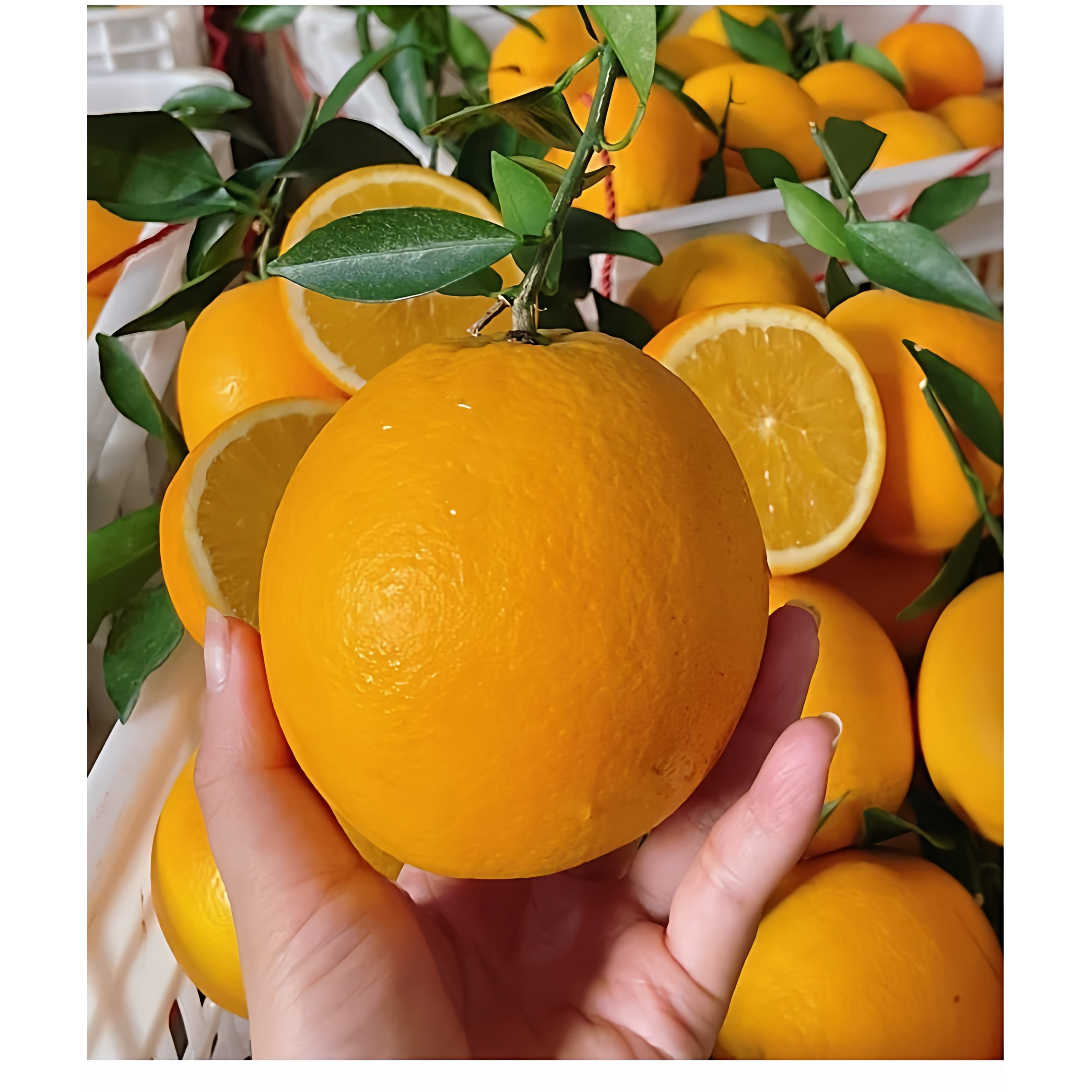 正宗江西赣南信丰脐橙新鲜橙子20斤当季孕妇水果产地果园直发包邮,淘宝优惠券,粉丝福利购,淘宝优惠卷