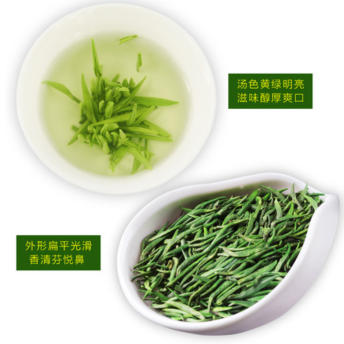 明前雀舌2026新茶特级贵州茶叶湄潭翠芽春茶嫩芽头浓香型绿茶250g - 图2