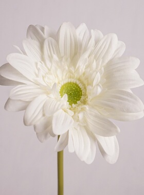 手感保湿非洲菊仿真花餐桌摆件