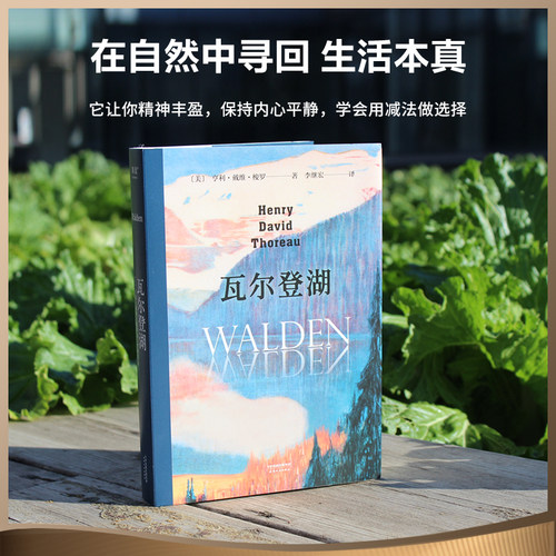 瓦尔登湖 梭罗 李继宏译 央视朗读者版本 在自然中寻回生活的意义 保持内心宁静 经典名著 外国文学 果麦出品 - 图1