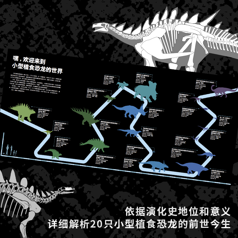 PNSO恐龙博物馆:小型植食恐龙赵闯绘杨杨文恐龙复原图纸上iMax视觉体验恐龙科普儿童科普读物果麦出品-图1