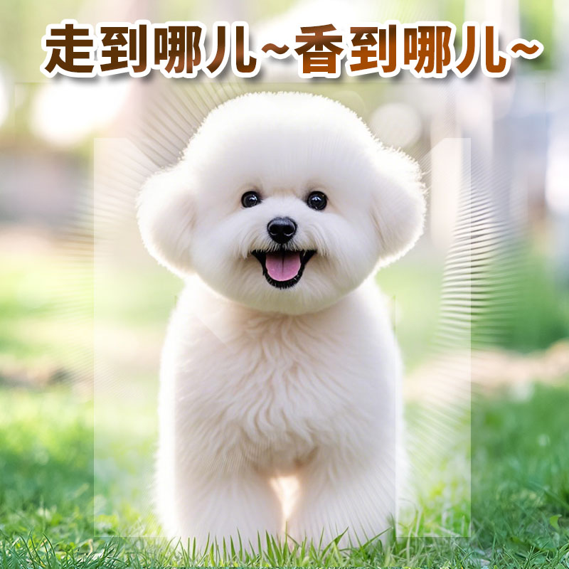博美萨摩耶犬比熊沐浴露白毛专用美白色狗狗洗澡用品宠物香波浴液