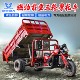 Gasoline three-wheel motorcycle Zongshen Power five-wheel motorcycle agricultural freight dump fuel load king household